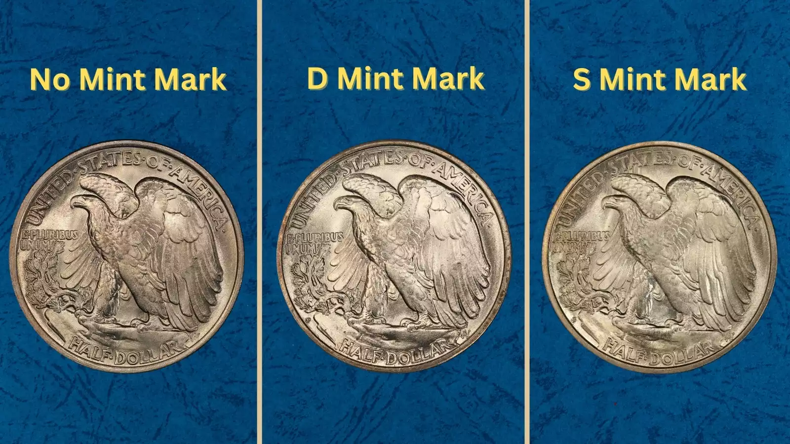 Three 1921 Walking Liberty half dollars showing all three mint marks — Philadelphia, Denver, and San Francisco